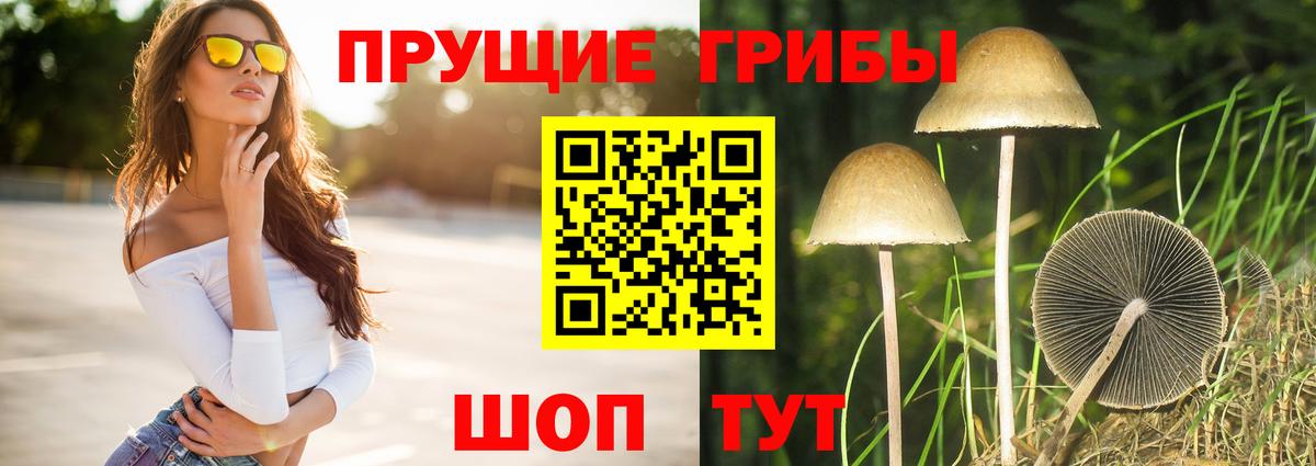  COCAIN Ревда