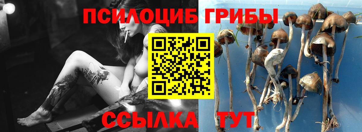 Меф МЯУ МЯУ   NBOMe  МАРИХУАНА  ЭКСТАЗИ  ТГК  A-PVP СОЛЬ   COCAIN  ГАШИШ  Вход с VPN  Канабис  МЕФ  Ревда  Гашиш 