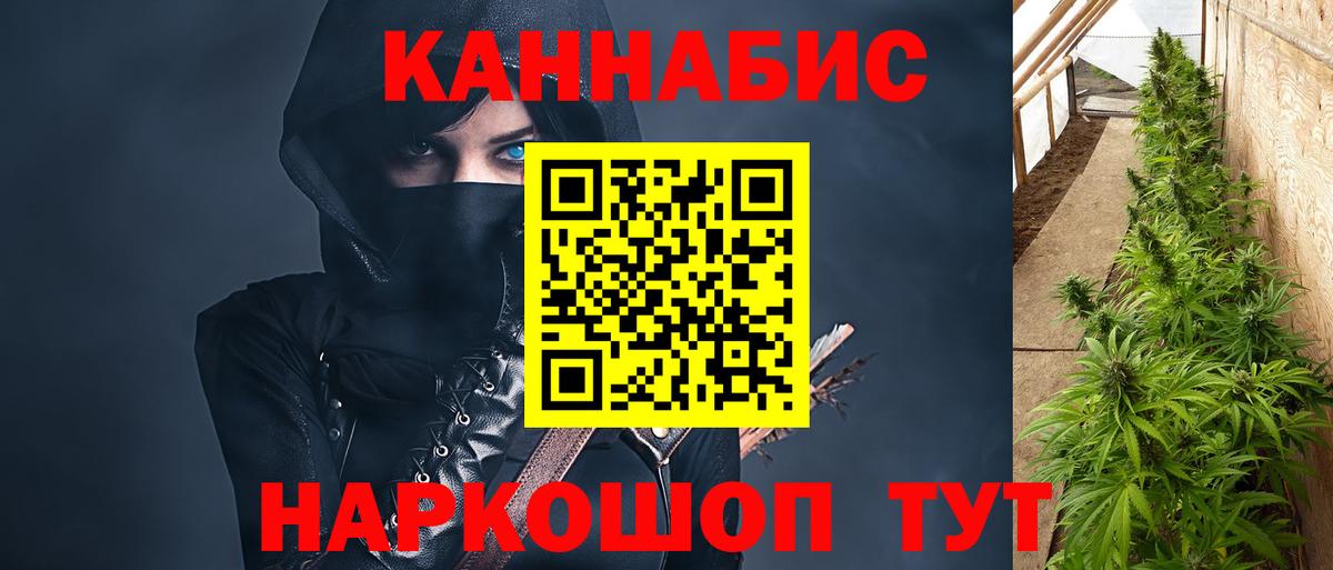 Конопля VHQ  Бошки Шишки гибрид  Ревда  Бошки марихуана планчик  Вход с VPN 